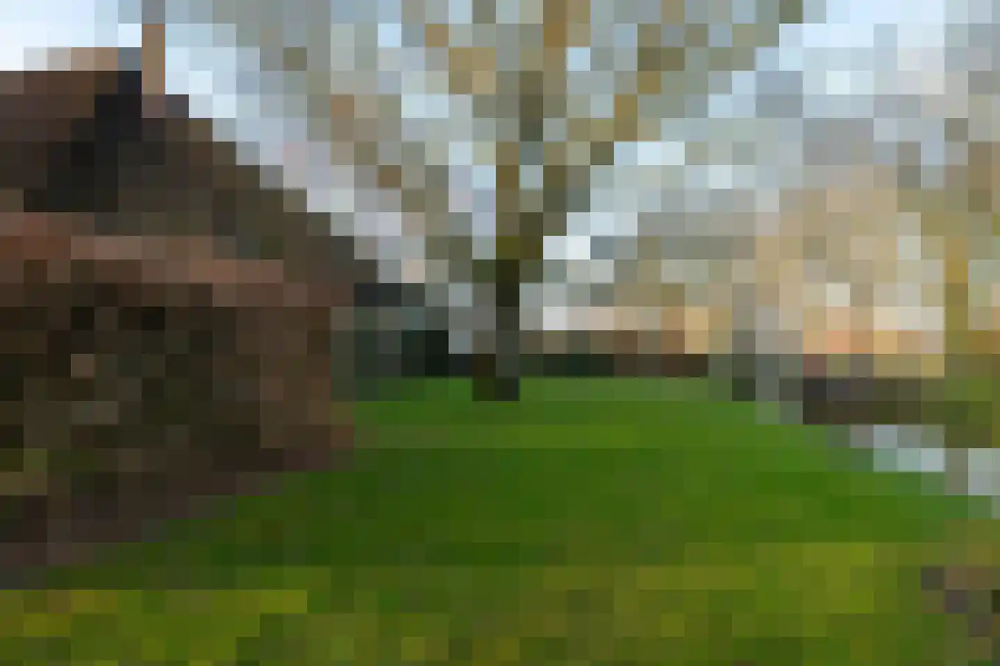Wormerweg 34 Westbeemster thumbnail 82