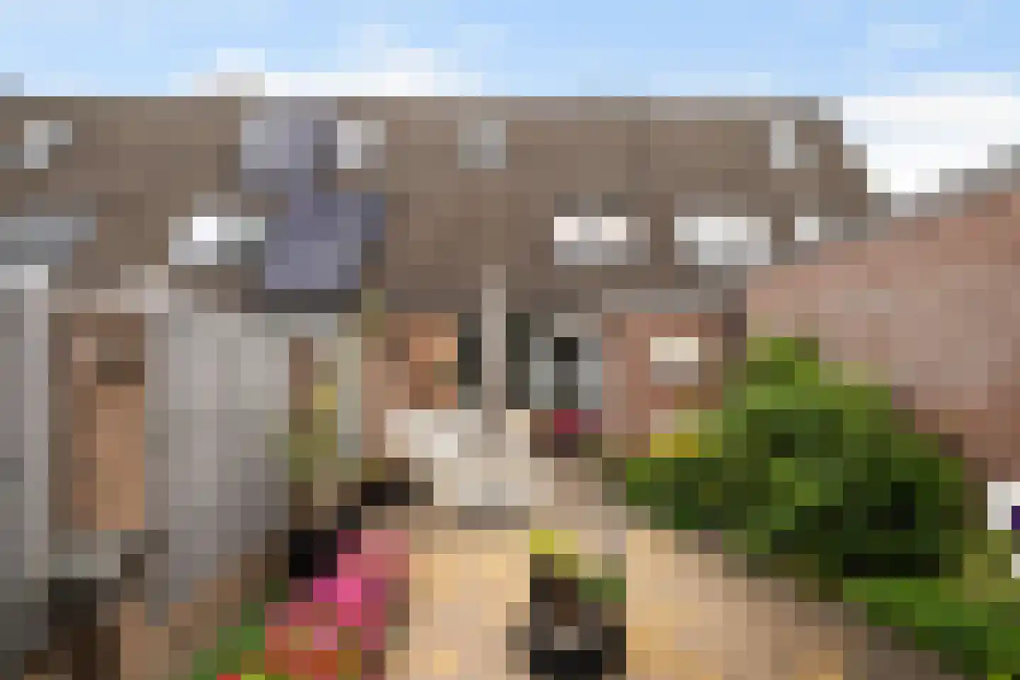 Wormgoorlaan 8 Harskamp thumbnail 28