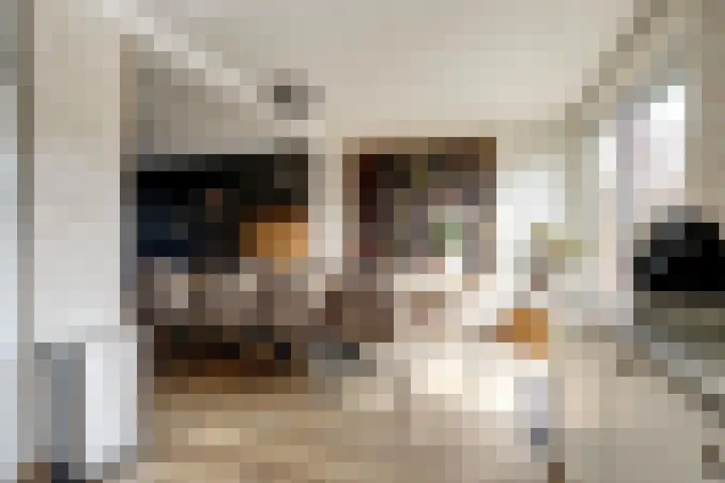 Wormserstraat 9 Rotterdam thumbnail 9