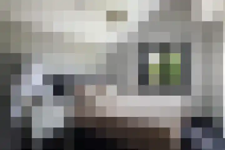 Wormshoefweg 7 Lunteren thumbnail 17