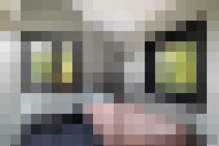 Wormshoefweg 7 Lunteren thumbnail 19