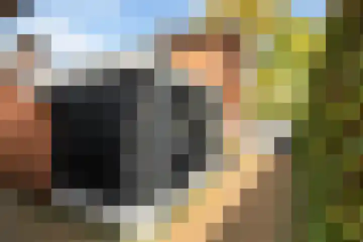 Wormshoefweg 7 Lunteren thumbnail 24