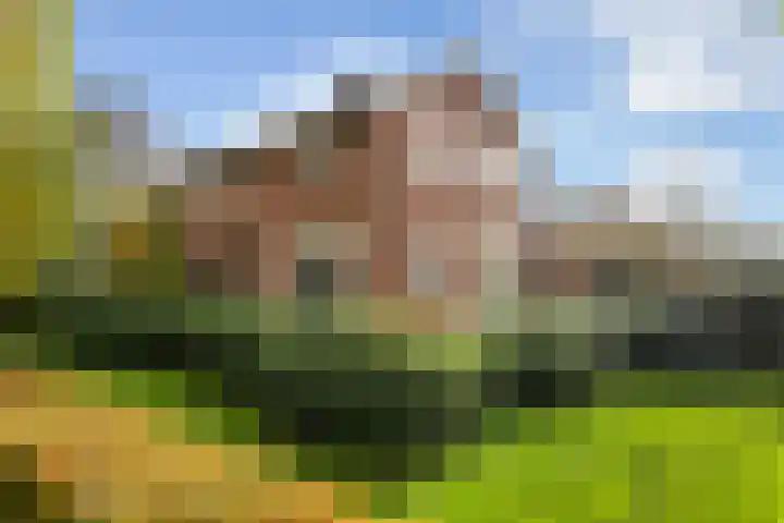 Wormshoefweg 7 Lunteren thumbnail 26