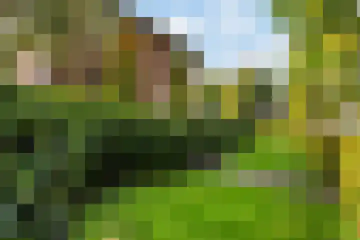 Wormshoefweg 7 Lunteren thumbnail 28