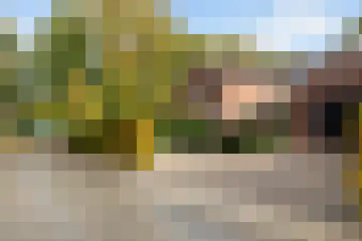 Wormshoefweg 7 Lunteren thumbnail 32