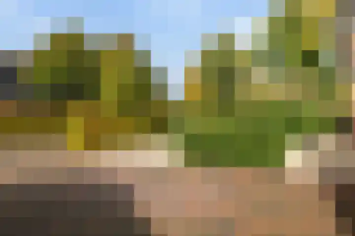 Wormshoefweg 7 Lunteren thumbnail 33