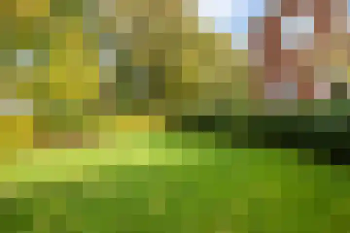 Wormshoefweg 7 Lunteren thumbnail 34