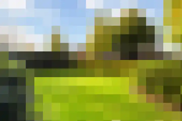 Wormshoefweg 7 Lunteren thumbnail 35