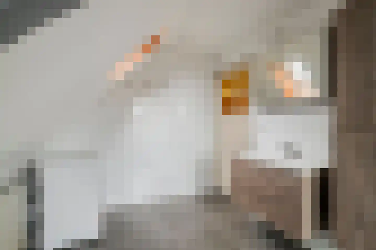Worp 67 Deventer thumbnail 41