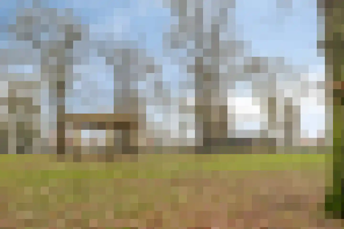 Worp 67 Deventer thumbnail 56