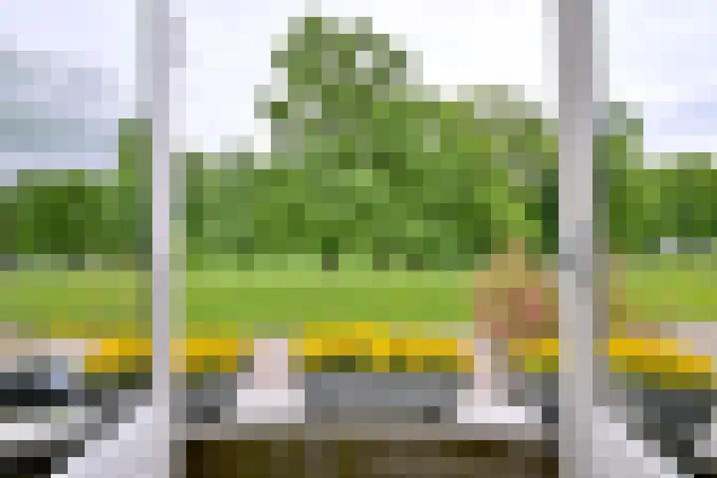 Worp 7 Deventer thumbnail 15