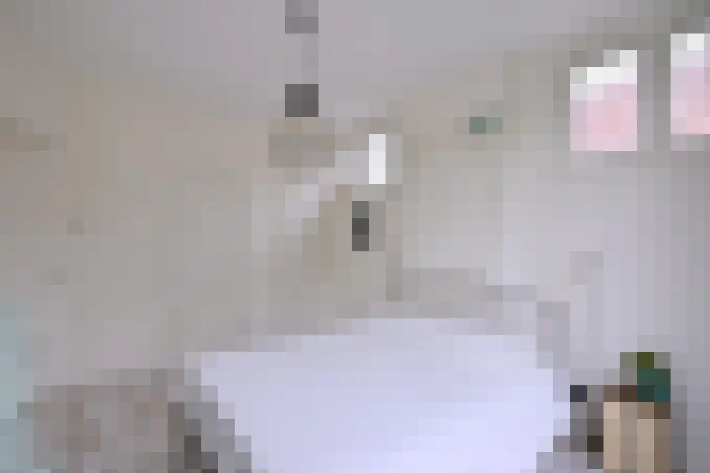 Worp 7 Deventer thumbnail 16