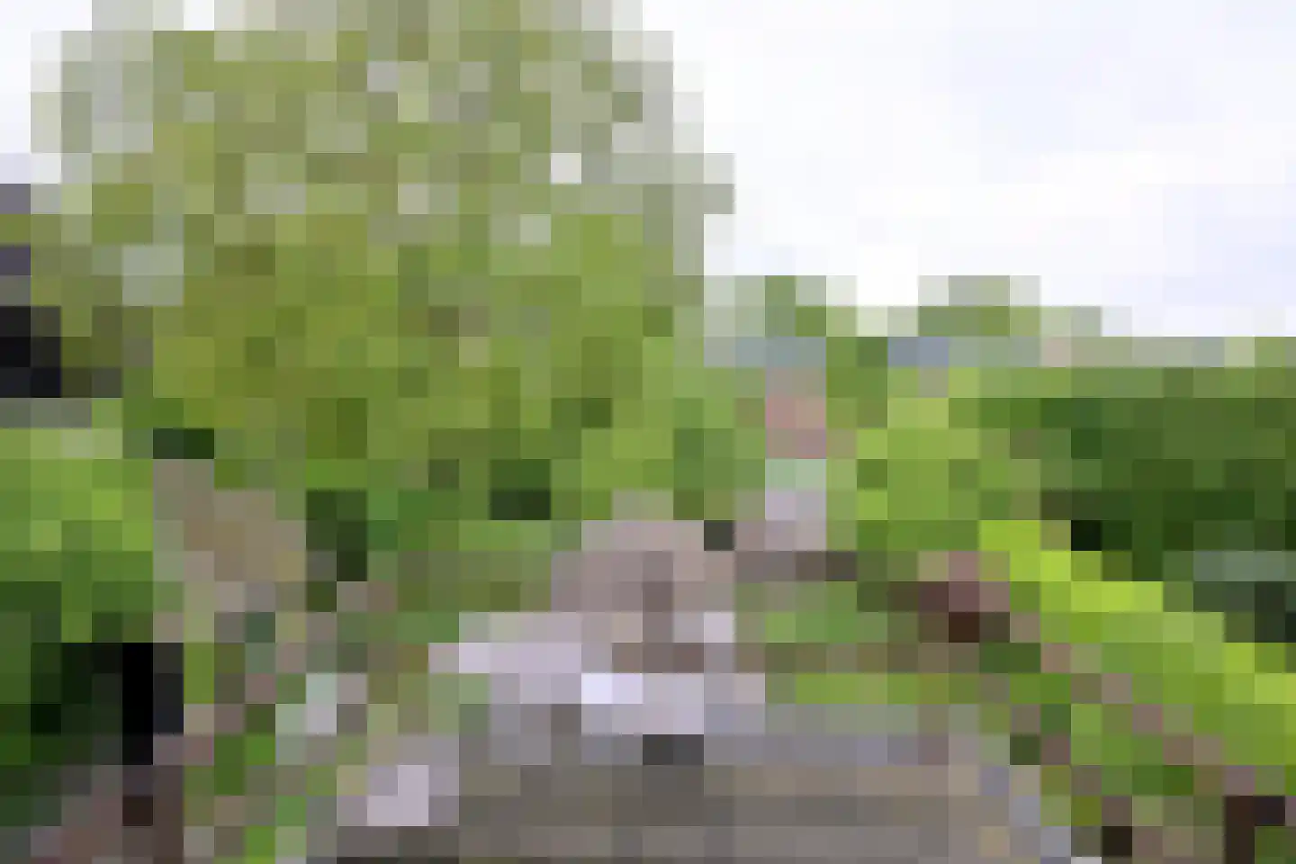 Worp 7 Deventer thumbnail 18