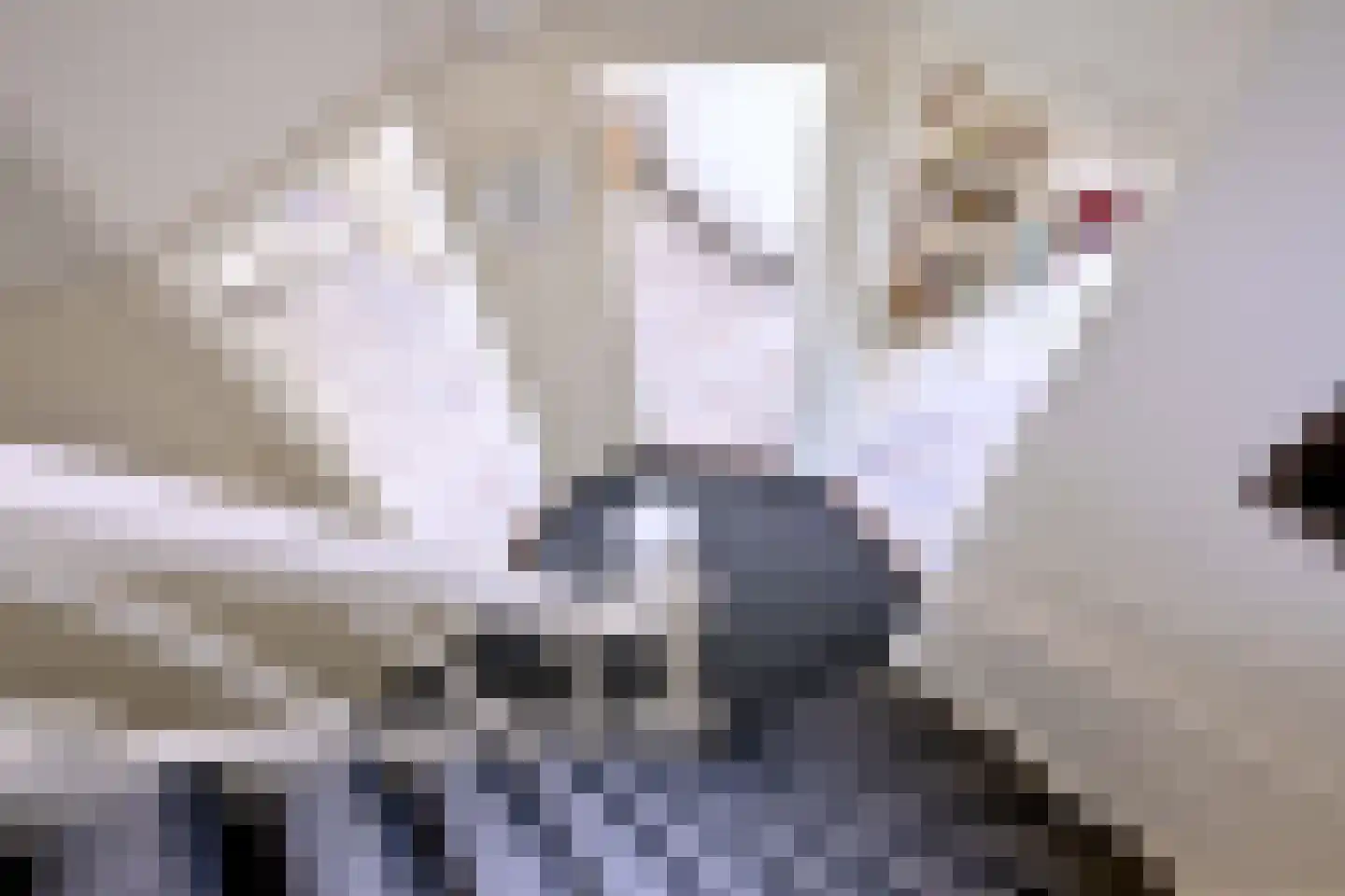 Worp 7 Deventer thumbnail 24