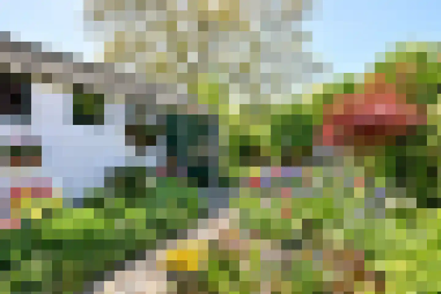 Worp 7 Deventer thumbnail 32