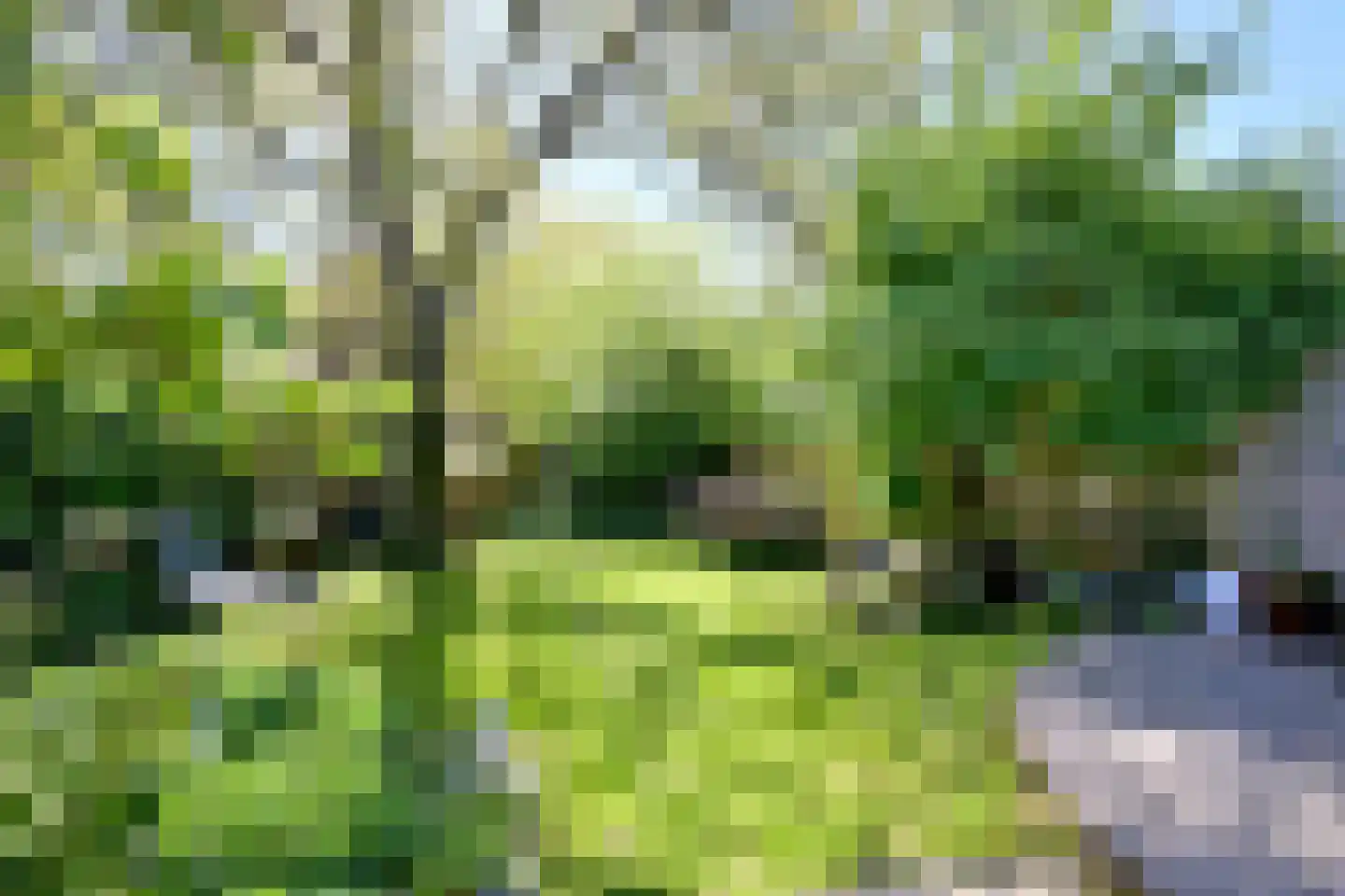 Worp 7 Deventer thumbnail 34