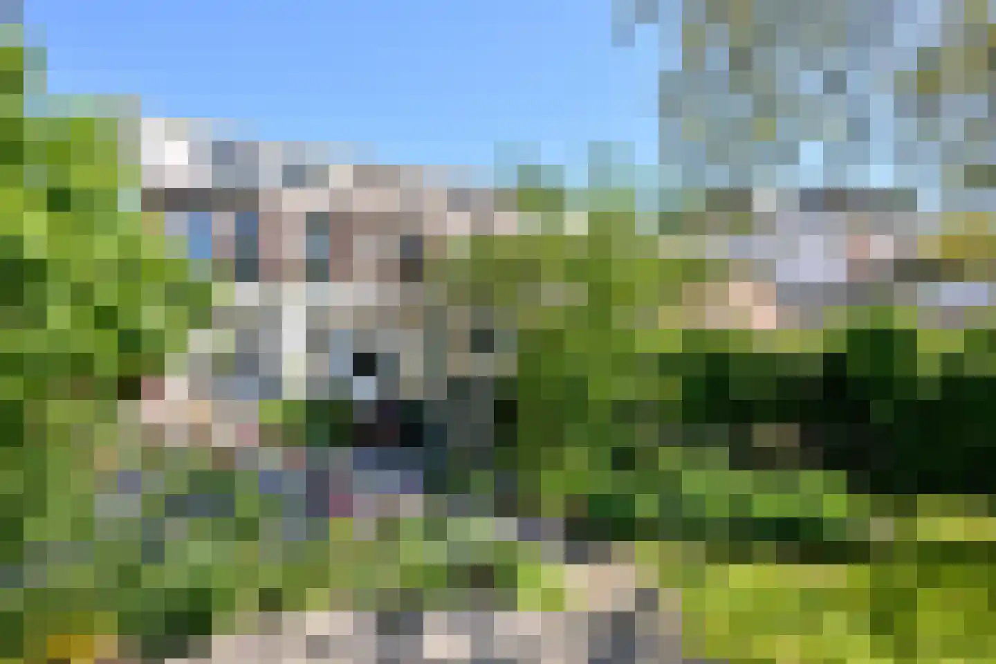 Worp 7 Deventer thumbnail 36