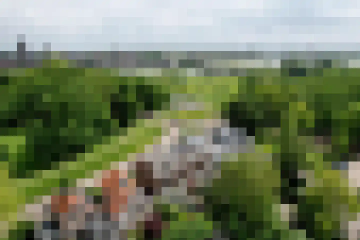 Worp 7 Deventer thumbnail 41