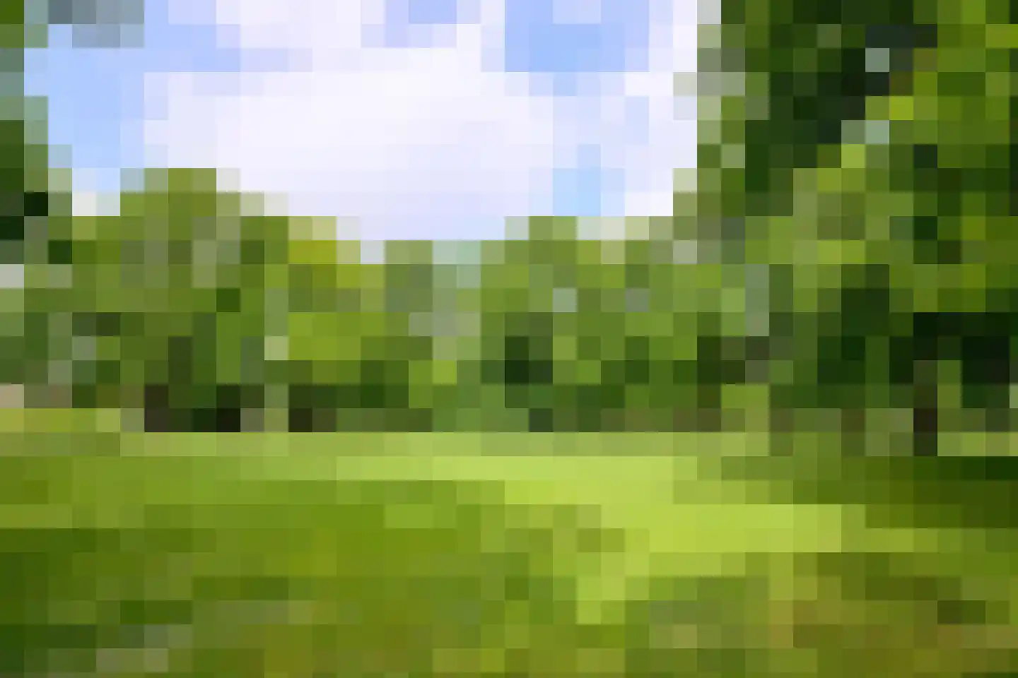 Worp 7 Deventer thumbnail 42