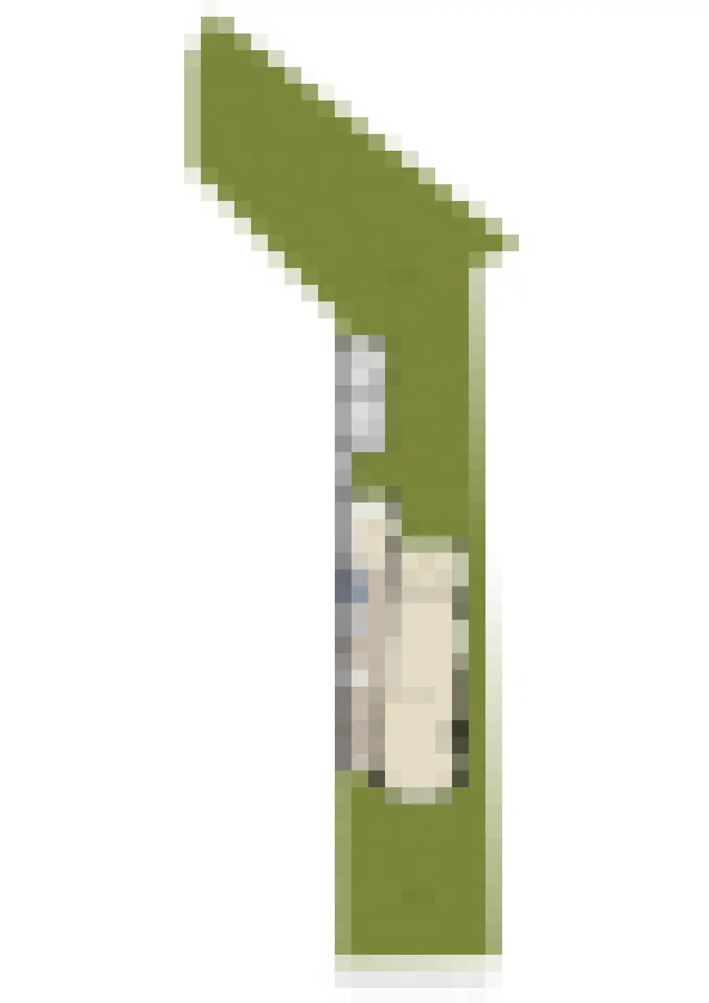 Worp 7 Deventer thumbnail 45