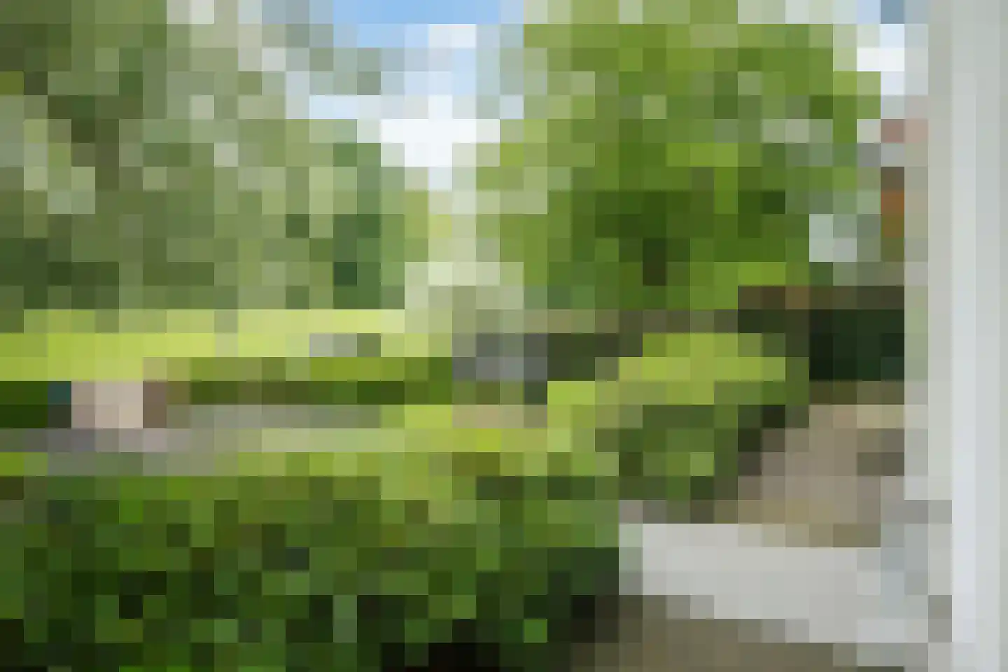 Worp 83 Deventer thumbnail 12