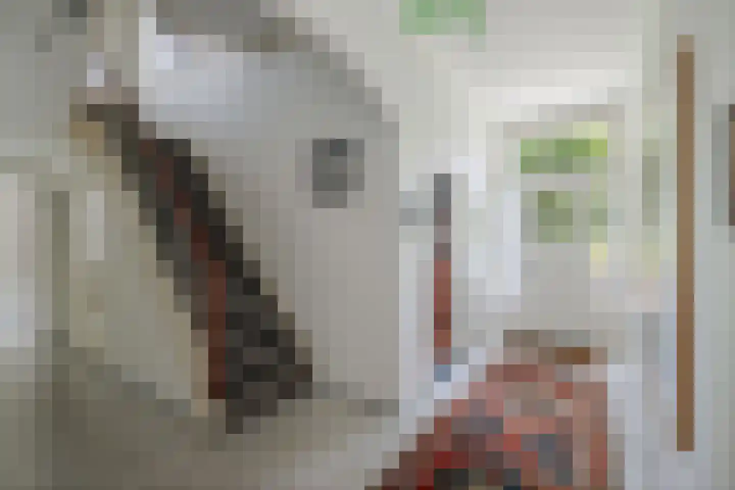 Worp 83 Deventer thumbnail 17