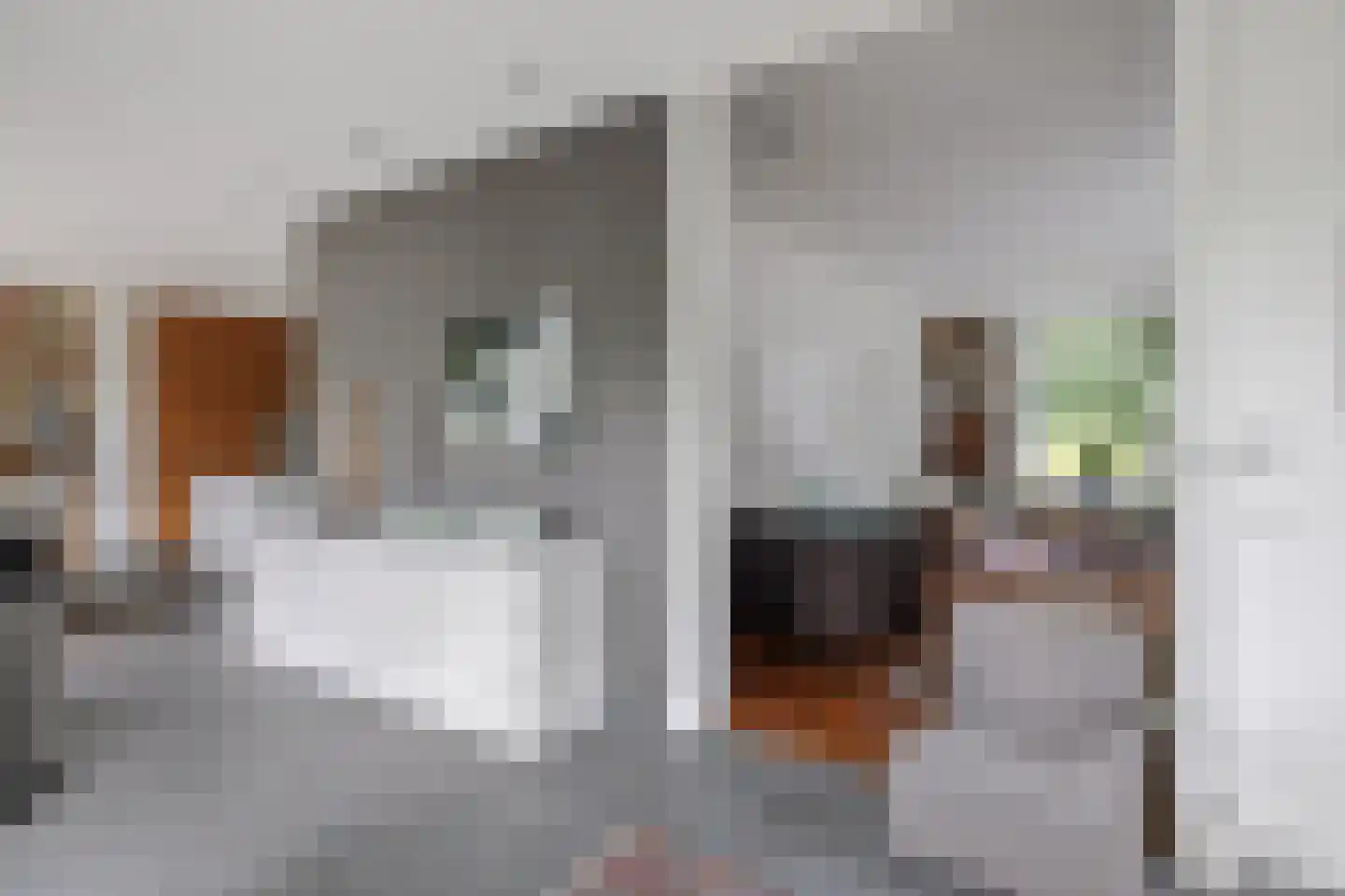 Worp 83 Deventer thumbnail 28