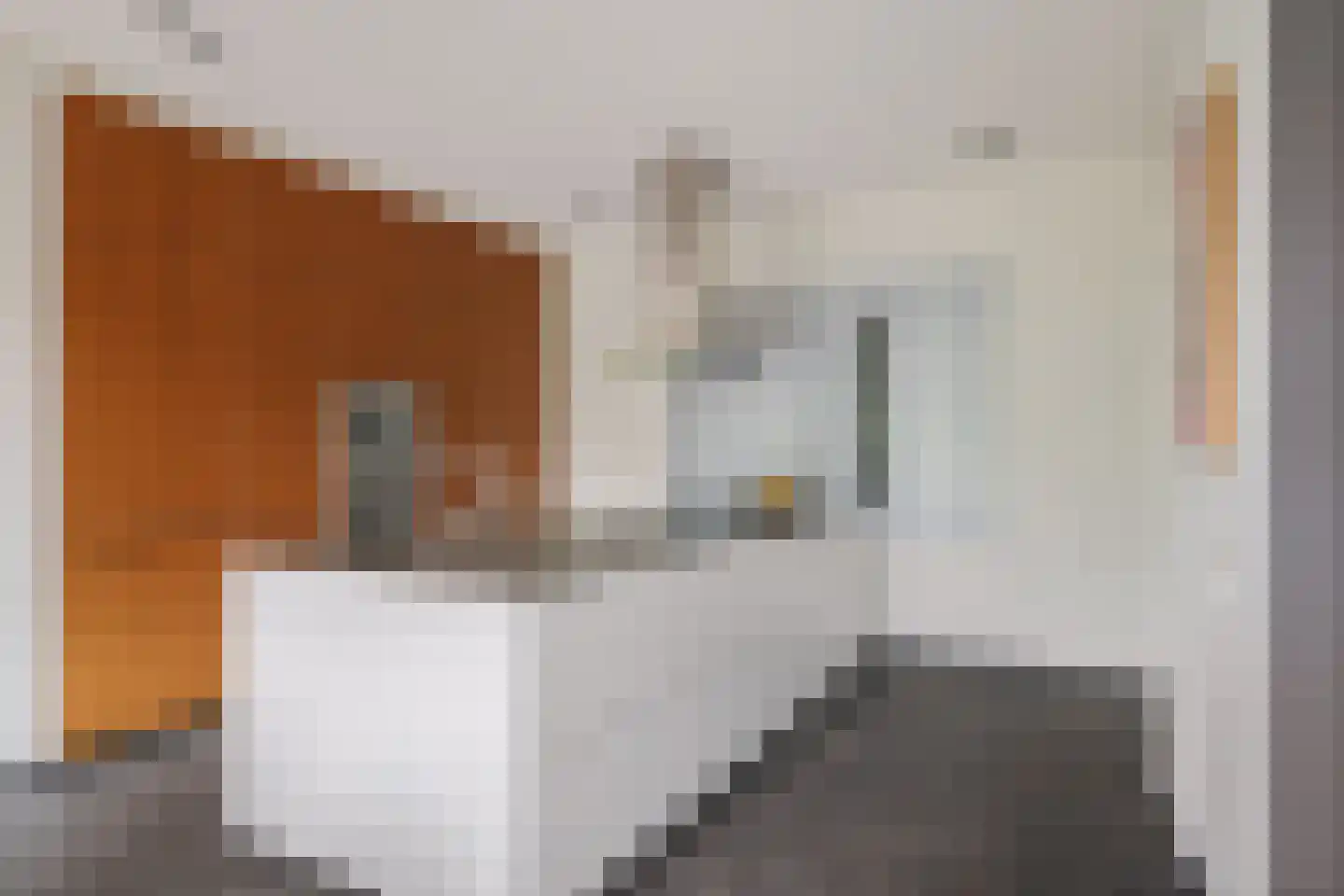 Worp 83 Deventer thumbnail 31