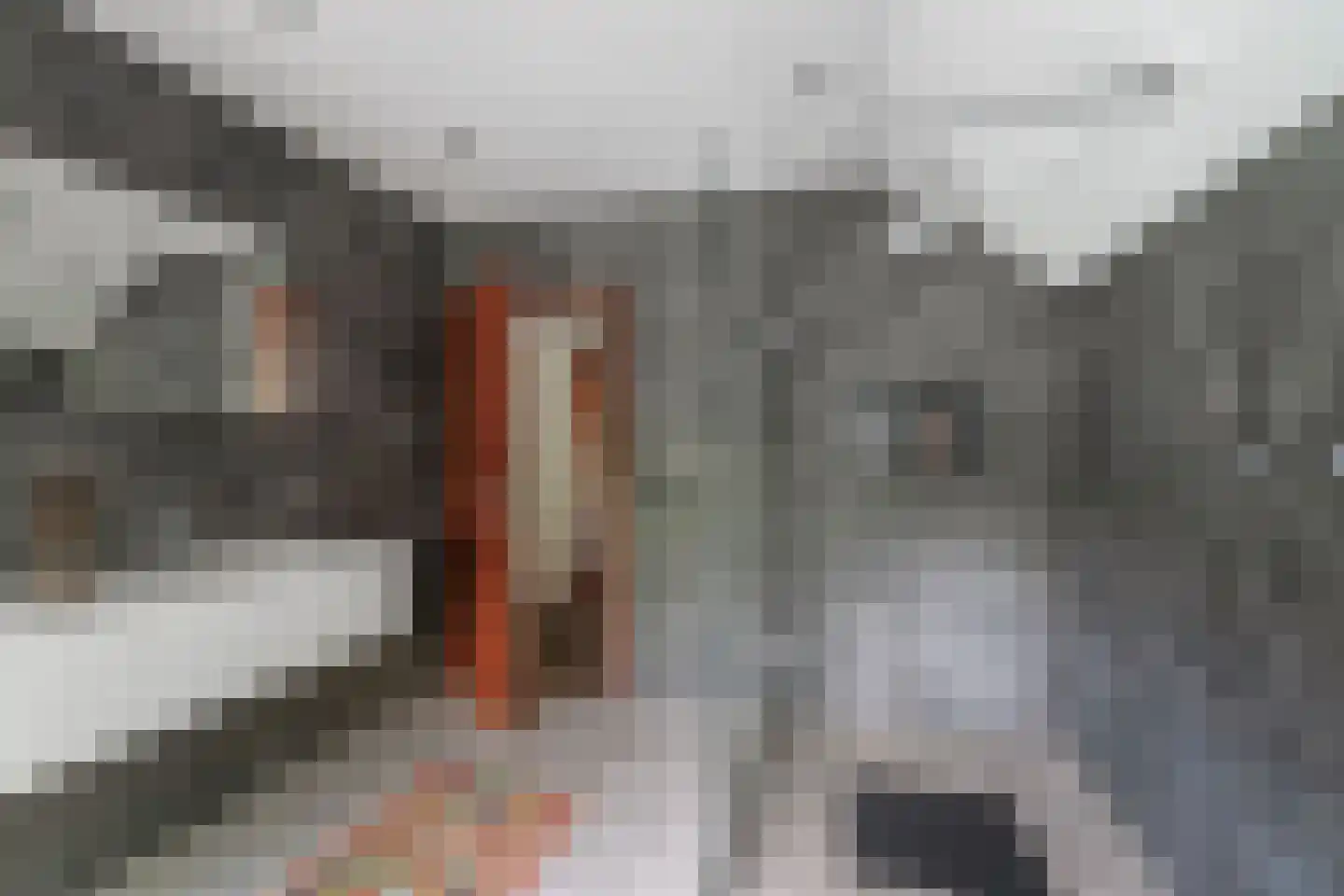Worp 83 Deventer thumbnail 46