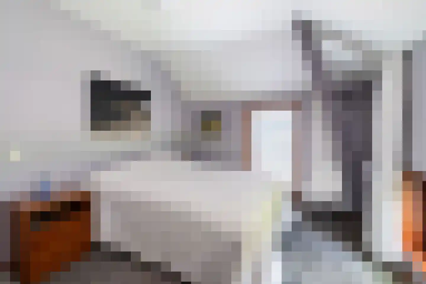 Worp 83 Deventer thumbnail 48