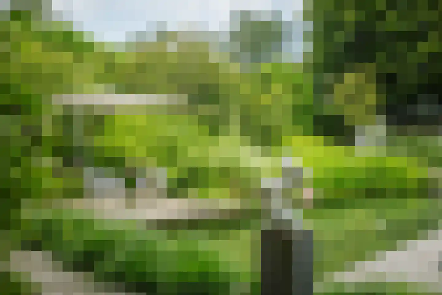 Worp 83 Deventer thumbnail 55