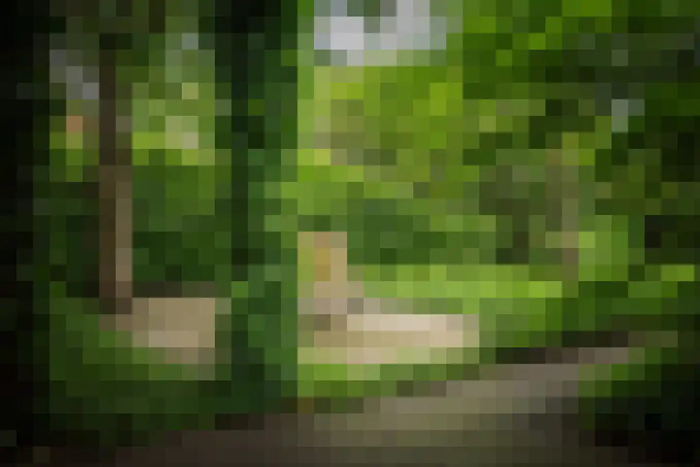 Worp 83 Deventer thumbnail 56