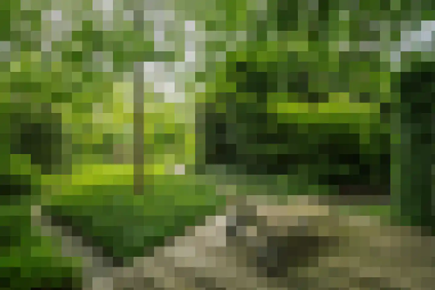 Worp 83 Deventer thumbnail 57