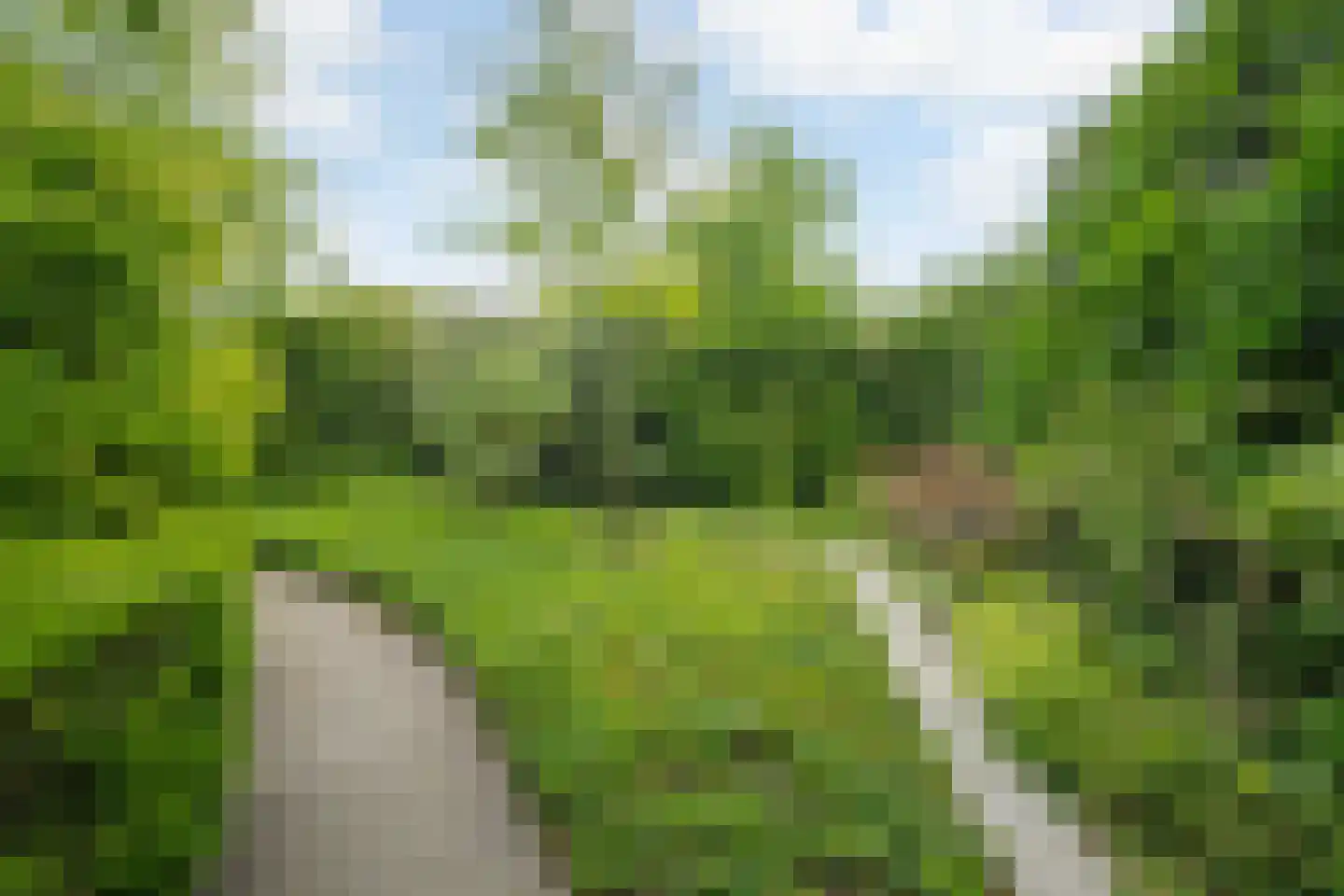 Worp 83 Deventer thumbnail 58