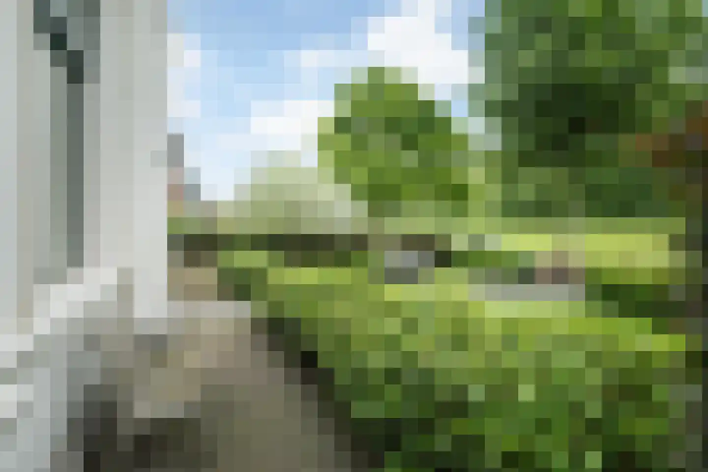 Worp 83 Deventer thumbnail 59
