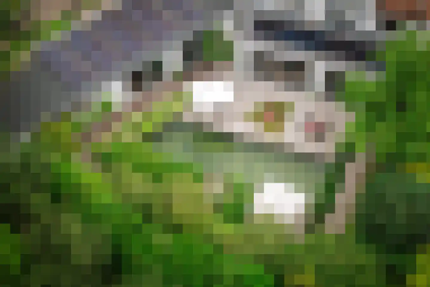 Worp 83 Deventer thumbnail 62