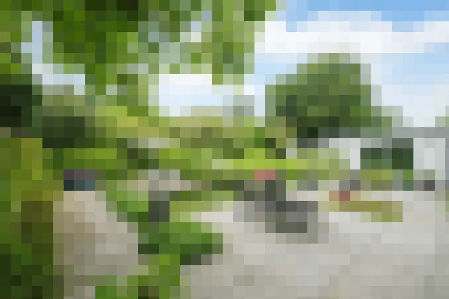 Worp 83 Deventer thumbnail 9
