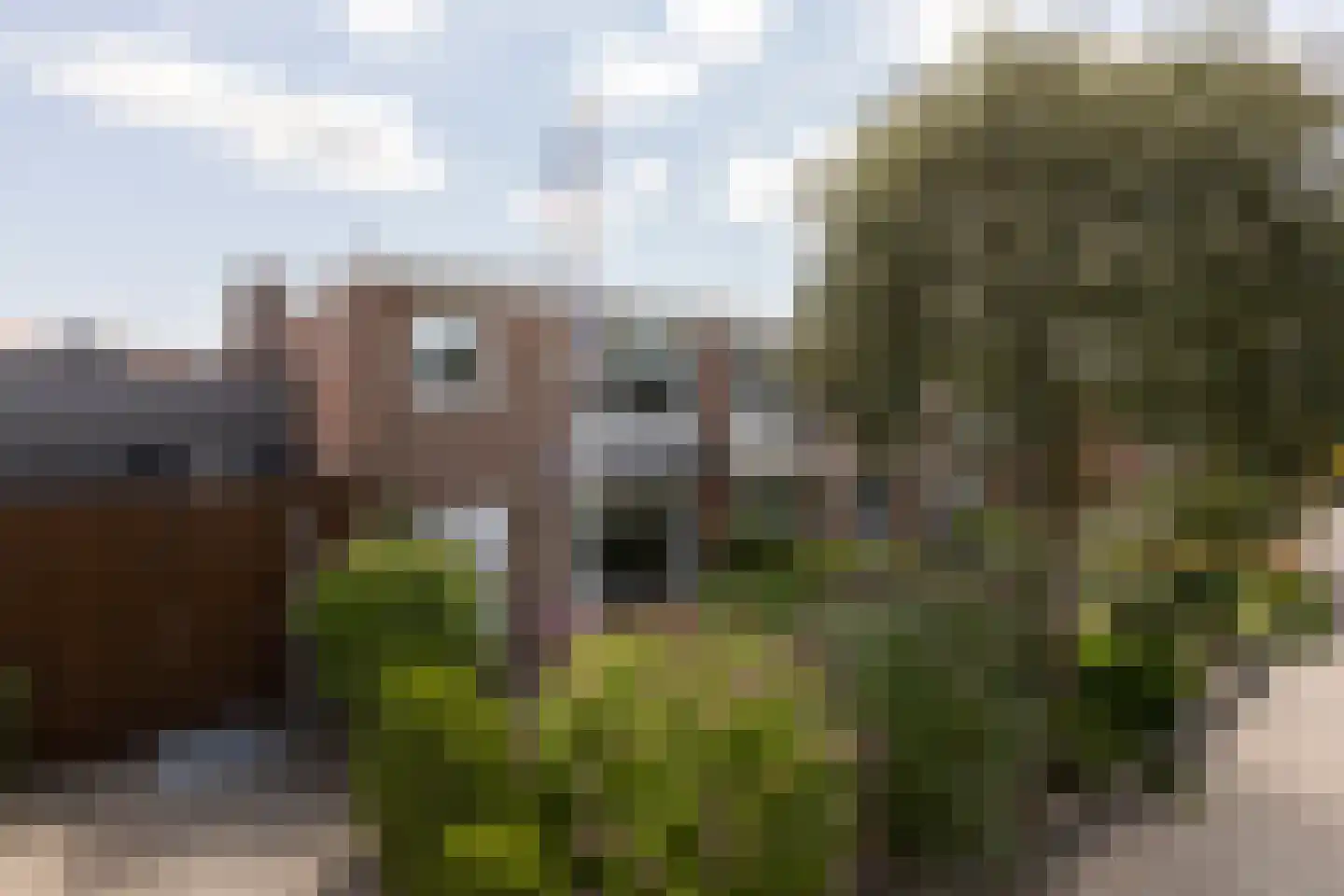 Worp Tjaardastraat 115 Sneek