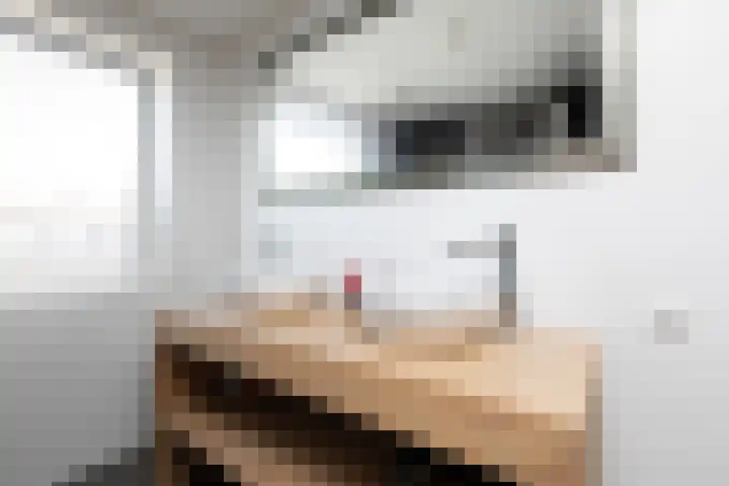 Worp Tjaardastraat 115 Sneek thumbnail 22
