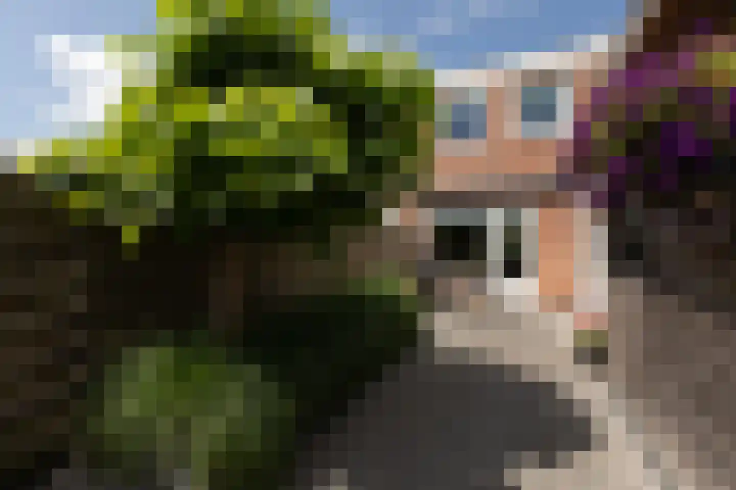 Worp Tjaardastraat 115 Sneek thumbnail 28