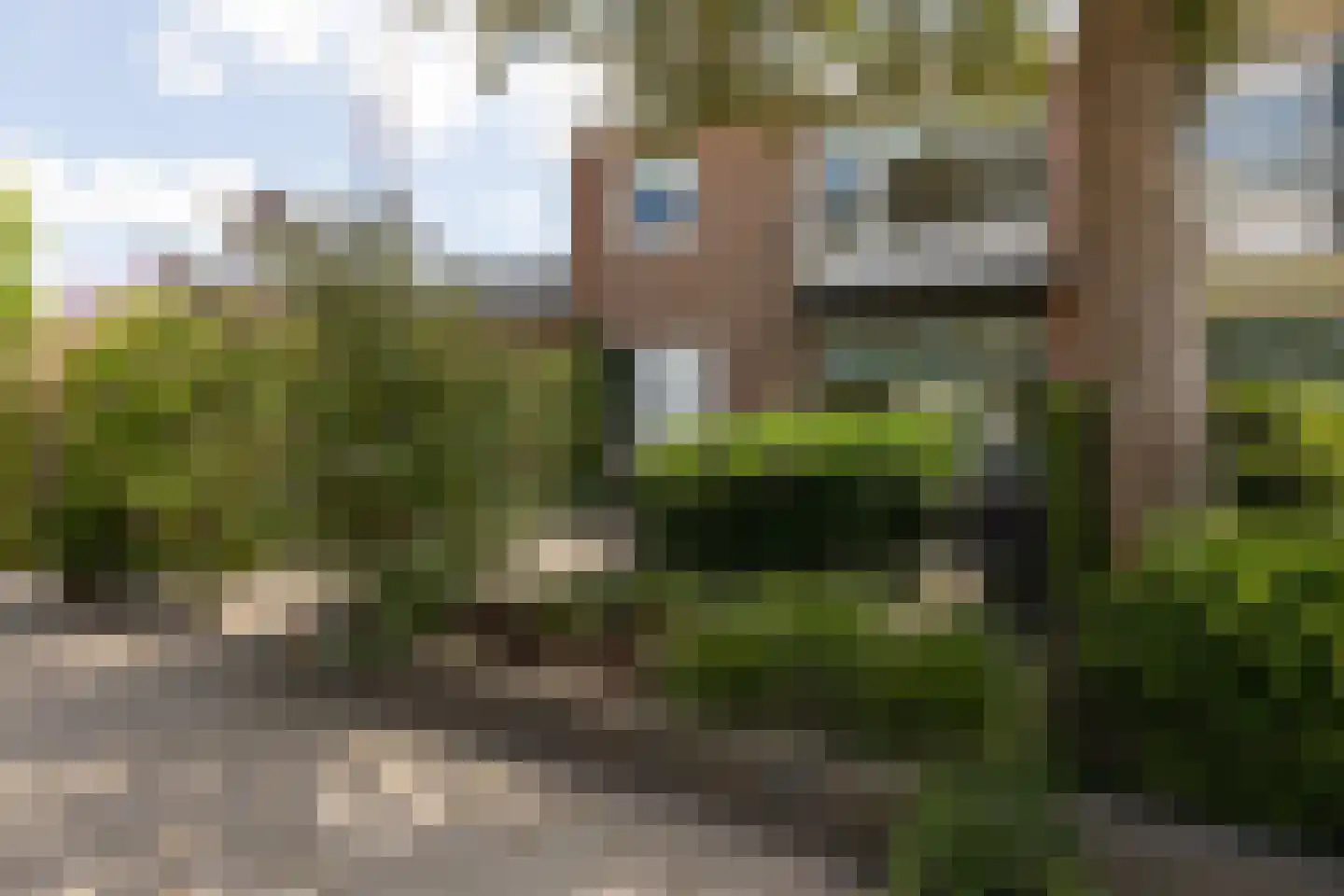 Worp Tjaardastraat 115 Sneek thumbnail 32