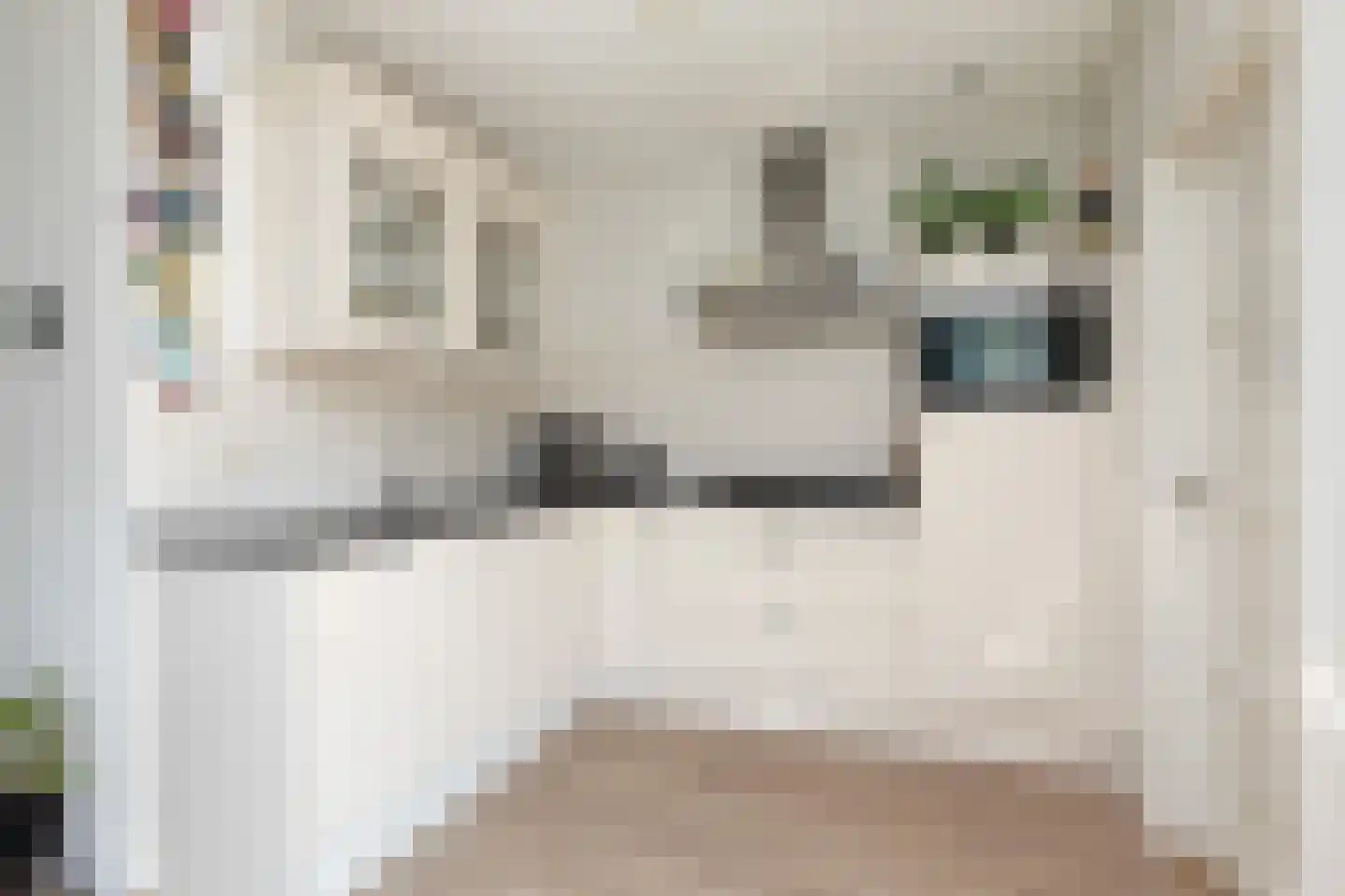 Worp Tjaardastraat 115 Sneek thumbnail 7