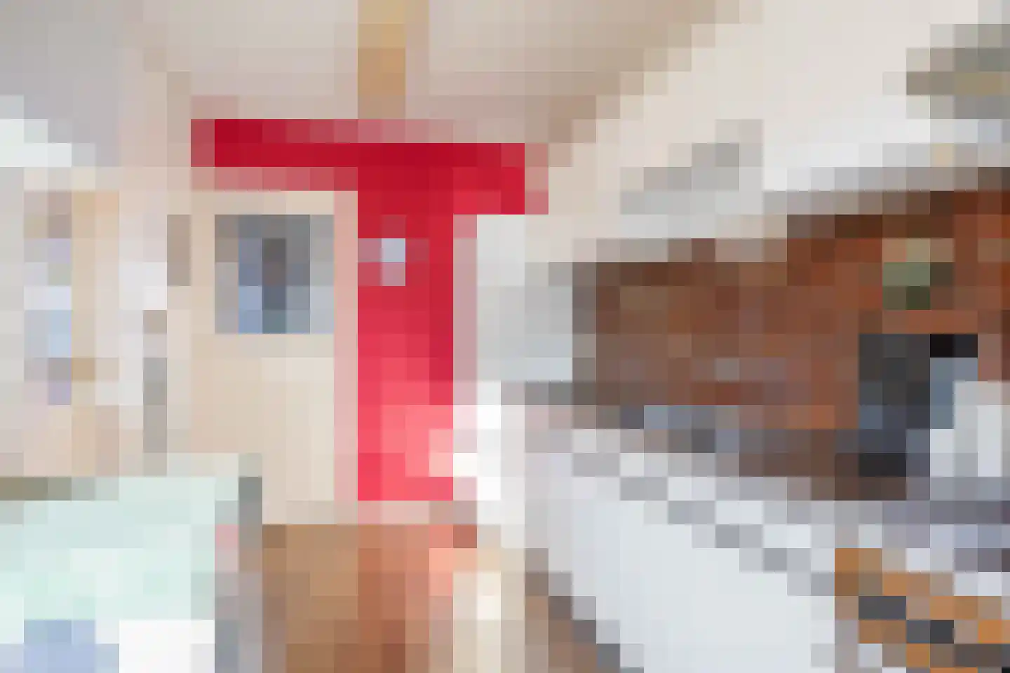 Worp Tjaardastraat 119 Sneek thumbnail 16
