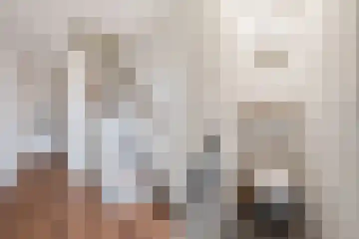 Worp Tjaardastraat 121 Sneek thumbnail 12