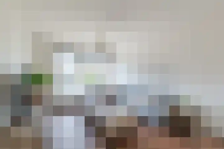 Worp Tjaardastraat 121 Sneek thumbnail 13