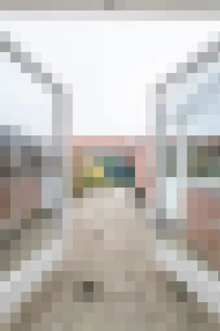 Worp Tjaardastraat 121 Sneek thumbnail 18