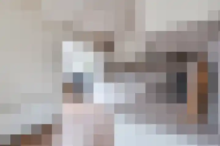 Worp Tjaardastraat 121 Sneek thumbnail 20