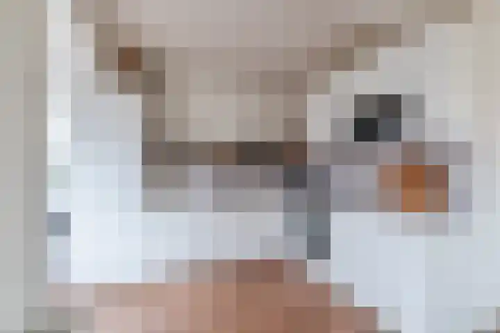 Worp Tjaardastraat 121 Sneek thumbnail 21