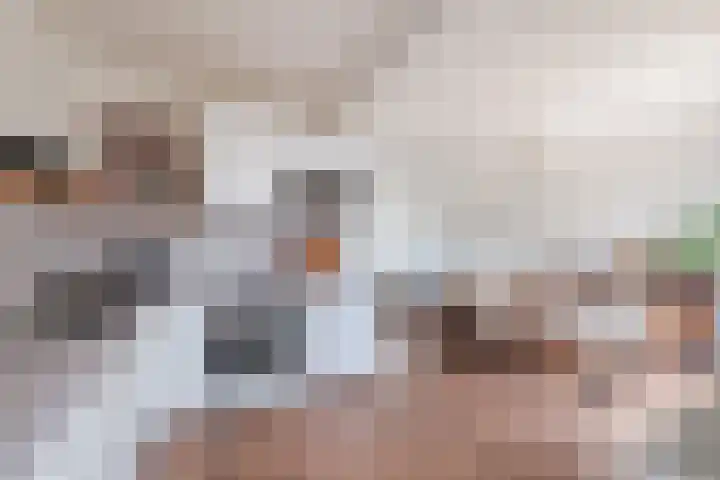 Worp Tjaardastraat 121 Sneek thumbnail 22