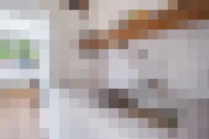 Worp Tjaardastraat 121 Sneek thumbnail 23